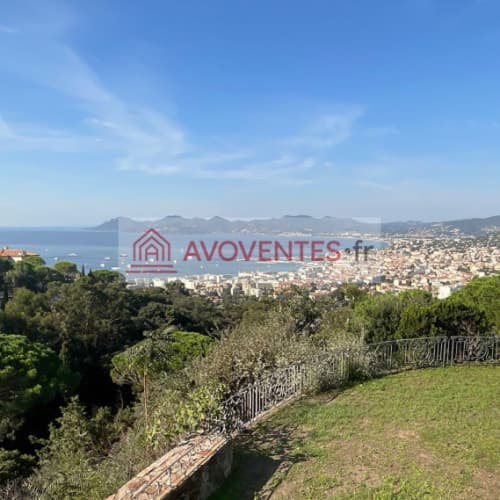 Photo du bien : Bien mixte 24 m² à Cannes (06) – vente au tribunal le 10 décembre 2026