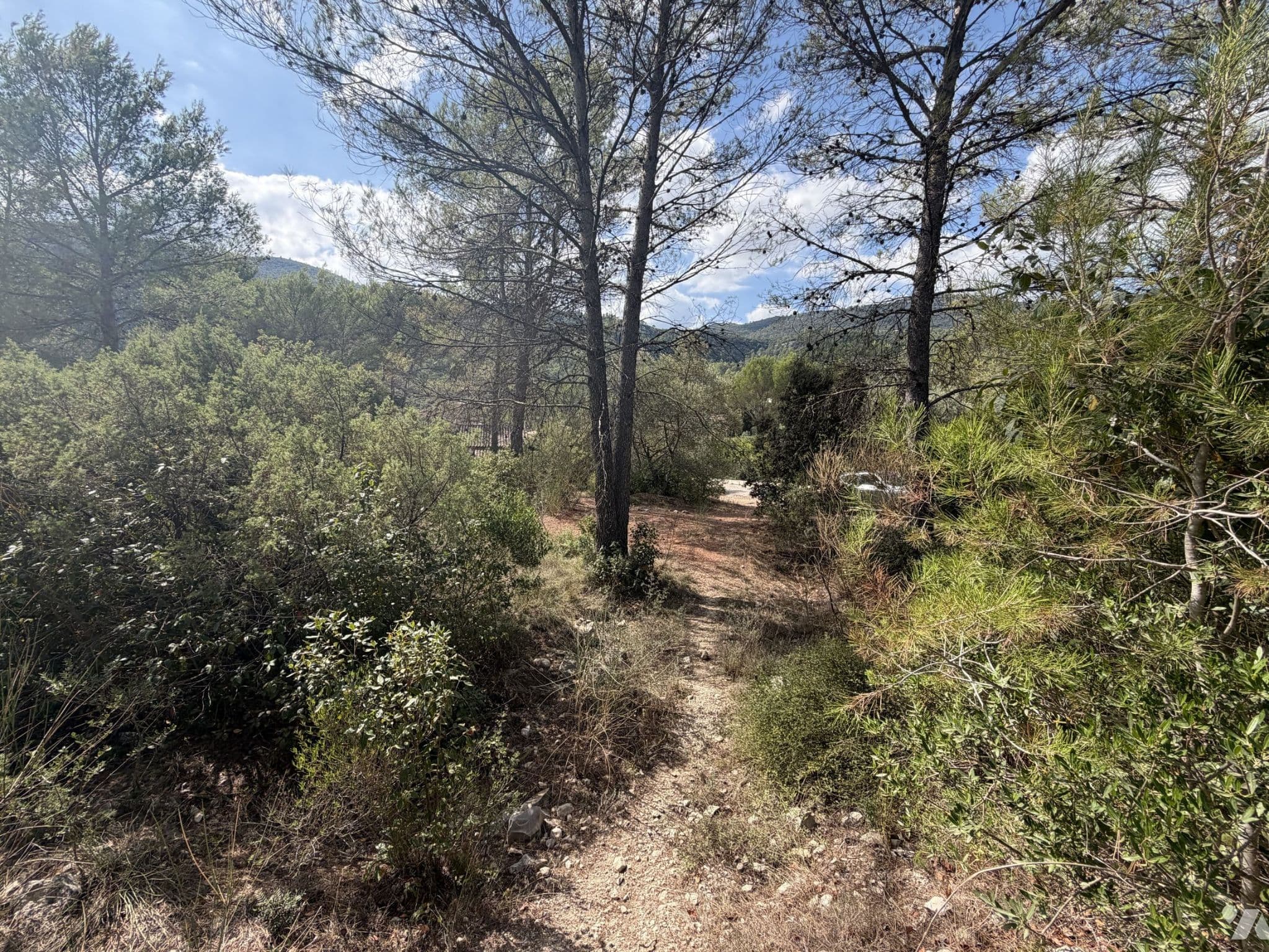 Photo du bien : Terrain 2 946 m² à Solliès-Toucas (83) – vente chez le notaire le 27 novembre 2026